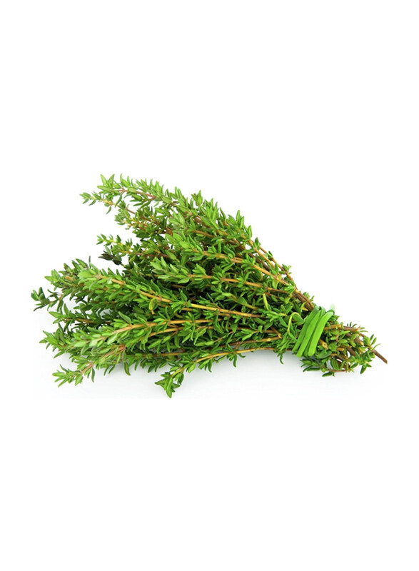 

Vsell24 Organic Thyme Seeds for Planting Grow Herbs Tree at Home, 3 Packs, Green