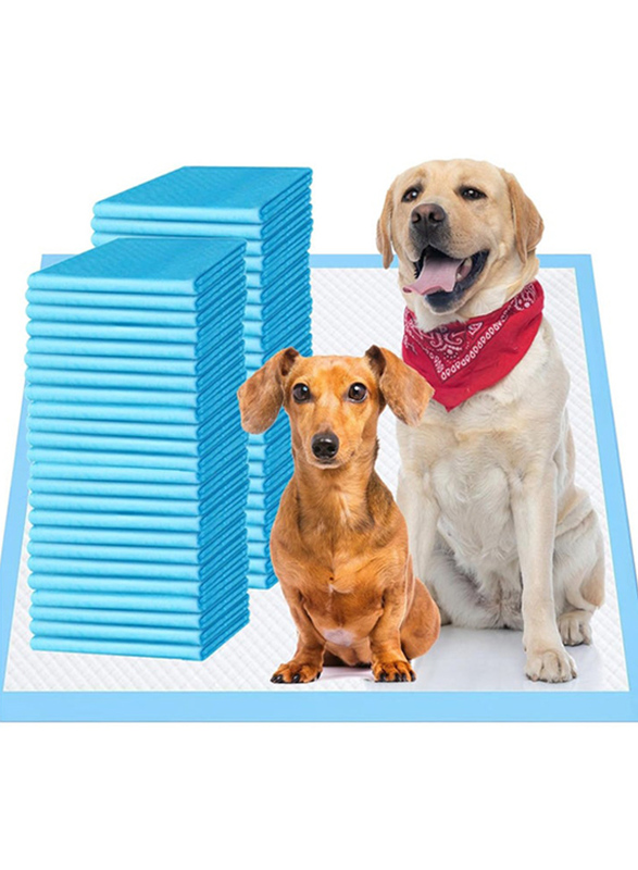 

Vsell24 6 Layer Quick Absorbent Pet Training Pads, 100 Piece, Blue