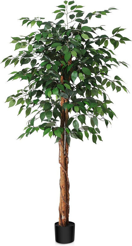 

ESSENTIALS 360 Artificial Ficus Tree 150cm Tall Fake Plant Faux Tree with Moss Grass & Pot Realistic Leaves & Natural Trunk for Home Office Garden Liv