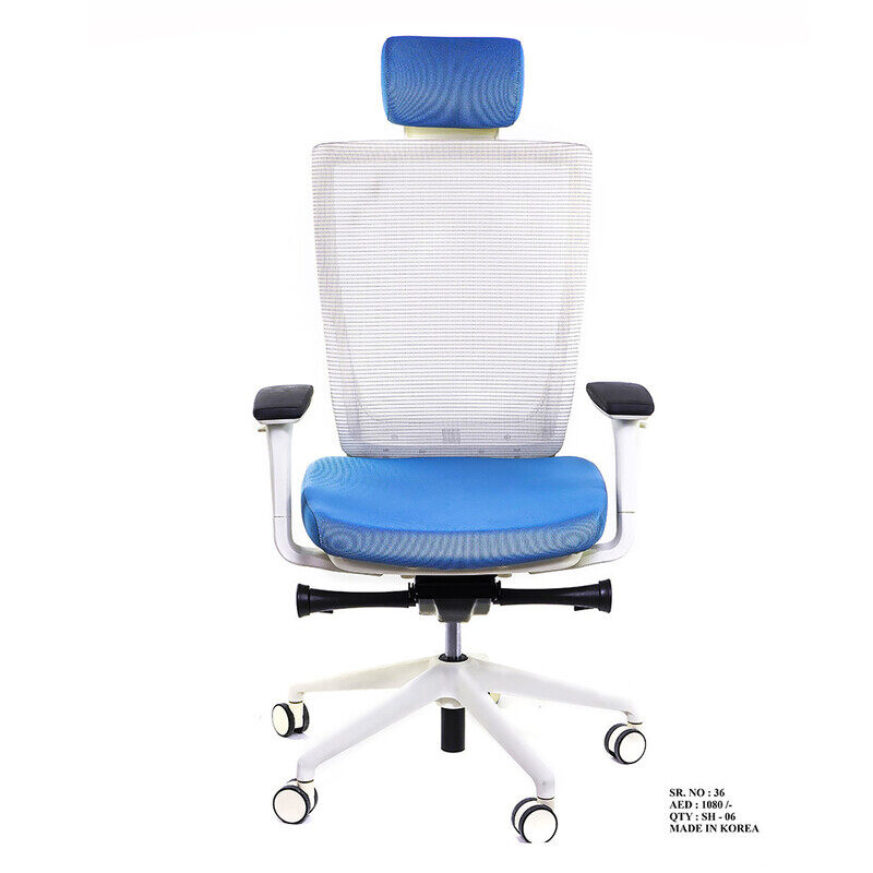 

Exoticchair Chair Executive High Back - Trium with Adjustable Head (Blue / White)