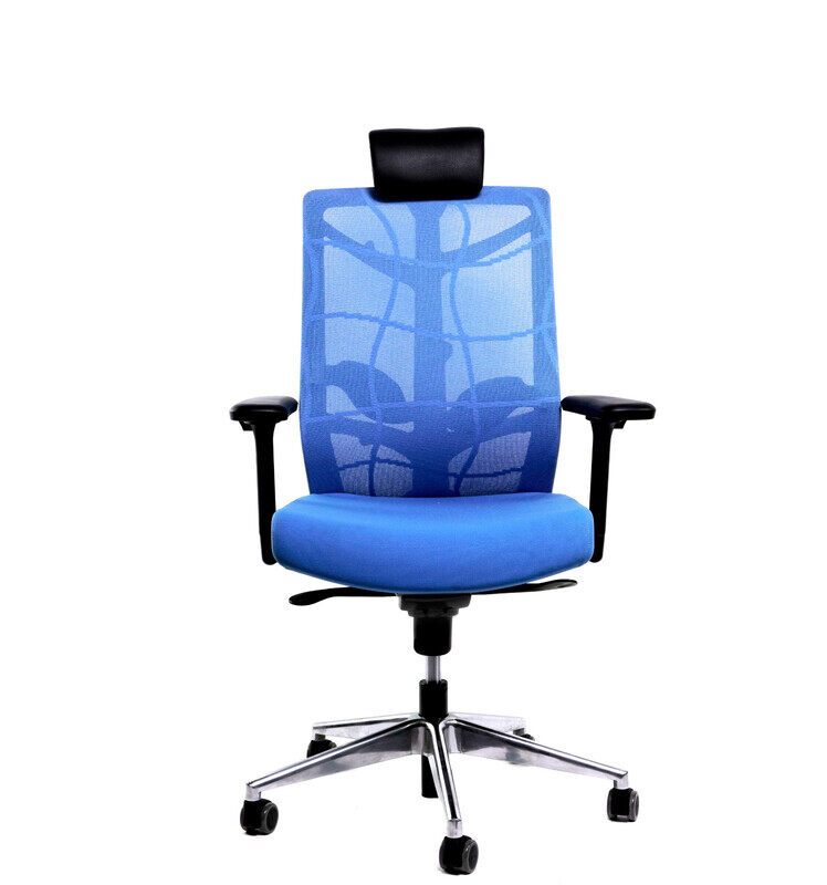 

Exoticchair Chair Executive High Back N100 (BLUE)