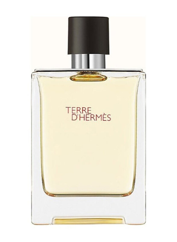 

Hermes Terre D'Hermes 100ml EDT Perfume for Men