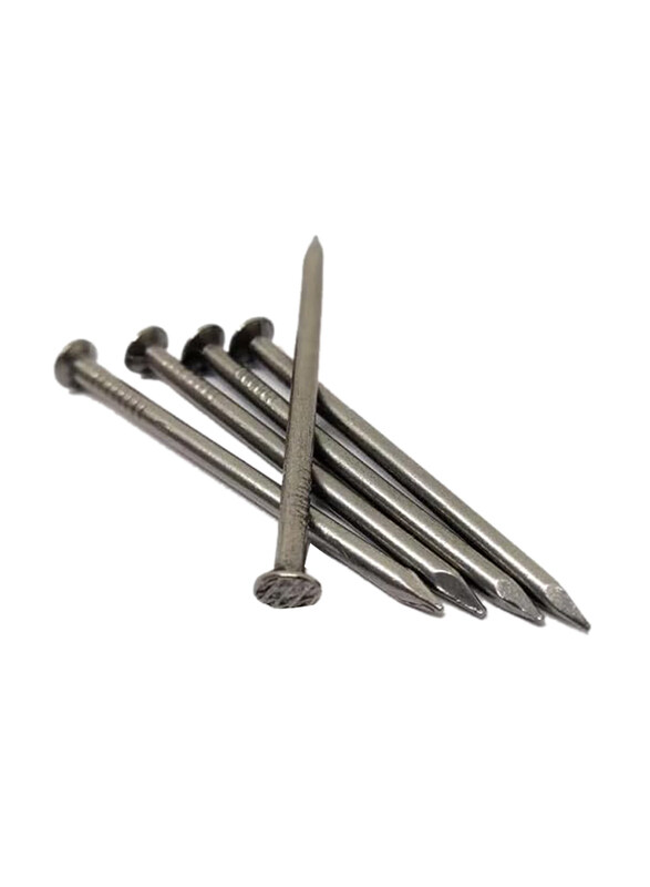 

KT Tape 1-inch Common Wire Nail, Silver