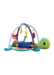 Infantino Grow-With-Me Activity Playmat & Ball Pit, Multicolour