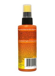 Armor All Protectant, 4oz