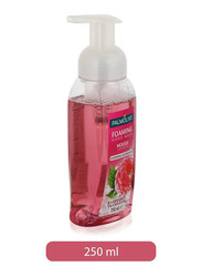 Palmolive Liquid Hand Soap Foam Pump Raspberry Liquid Hand Wash - 250ml