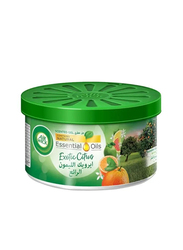Air Wick Air Freshener Scented Gel Can, Citrus - 70g