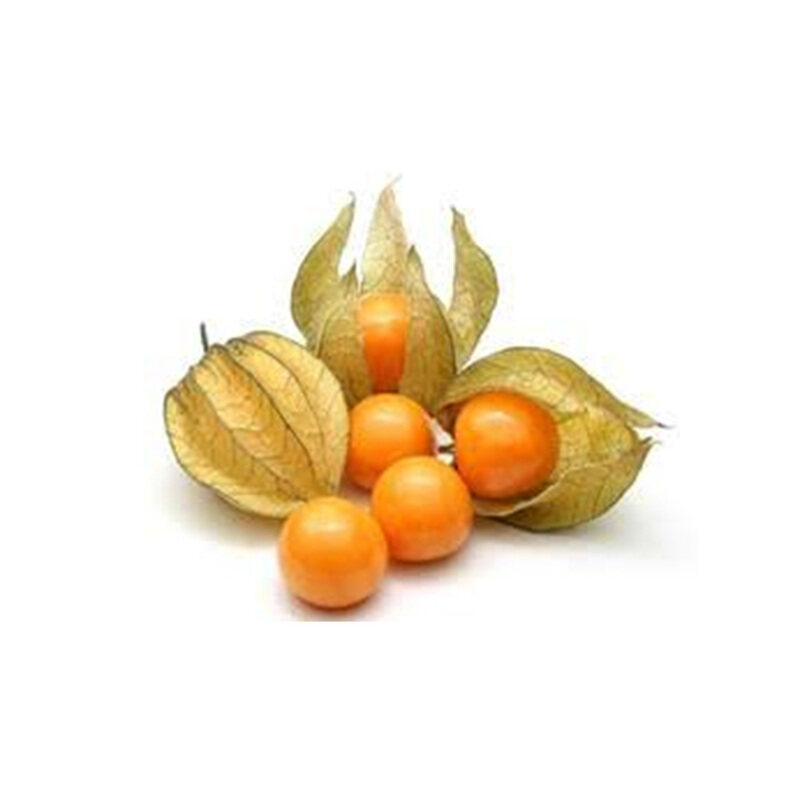 

Generic Physalis Colombia, 100 grams Packet