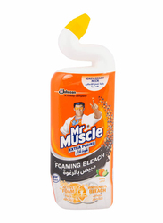 Mr Muscle Toilet Foam Bleach Citrus, 750ml