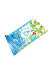 Pureborn 10 Pieces Chemical Free Aqua Wipes for Kids