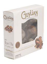 Guylian Artisanal Belgian Hazelnut Filling Chocolates, 1 Piece x 65g