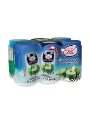 Ice Cool Young Coconut Juice, 6 x 310ml