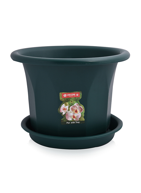 Lion Star Pot with Tray, Green