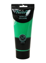 Fevicryl AC16 Pidilite Paint Tube Acrylic Colours, 200ml