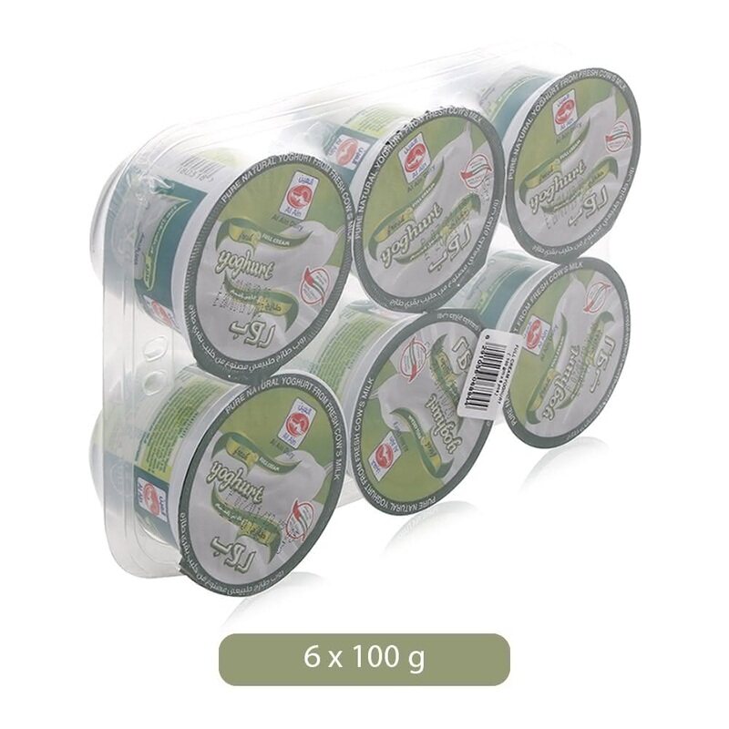 

Al Ain Farms Natural Yoghurt - 6 x 100 g