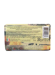 Nesti Dante Emozioni In Toscana Golden Countryside Soap, 250g