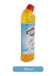 Clorox Citrus Purity Gel Multi Purpose Cleaner, 1 Piece, 750ml