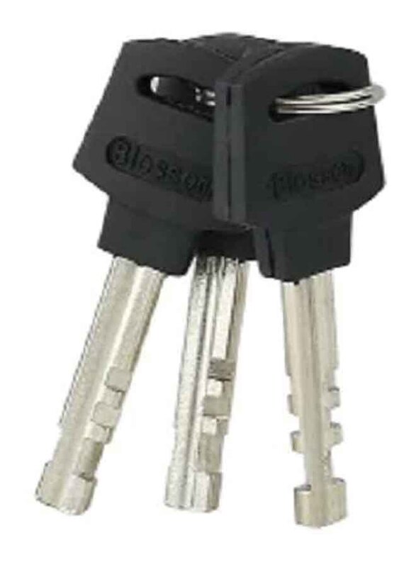 Blossom Disc Mechanism Padlock with Keys, 60mm, LS0506, Black/Silver