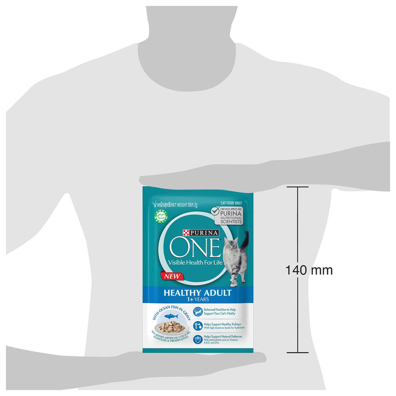 Purina One Wet Food with Ocean Fish in Gravy for Adult Cats Aged 1+ Years, 2(12 x 85g)