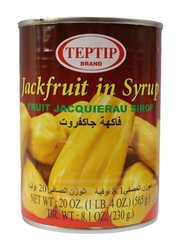 Teptip Jackfruit In Syrup, 20oz