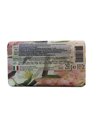 Nesti Dante Dolce Vivere Roma Soap, 250g