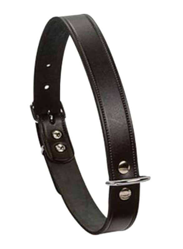

Beezteez Leather Dogs Collar, 37 x 12 cm, Black