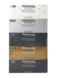 Alokozay Soft Facial 2 Ply Tissues, 5 x 170 Sheets