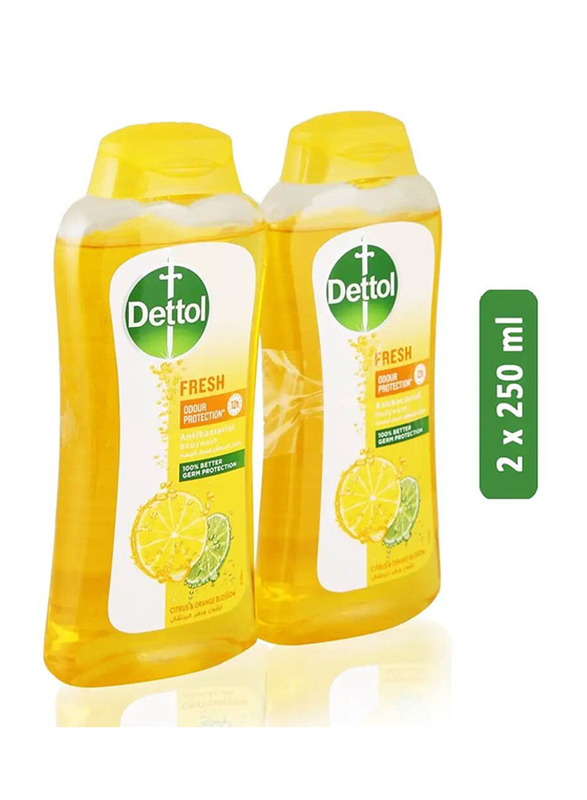 Dettol Fresh Antibacterial Body Wash - 2 x 250ml