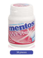 Mentos White Tutti Frutti Chewing Gum, 38 Pieces