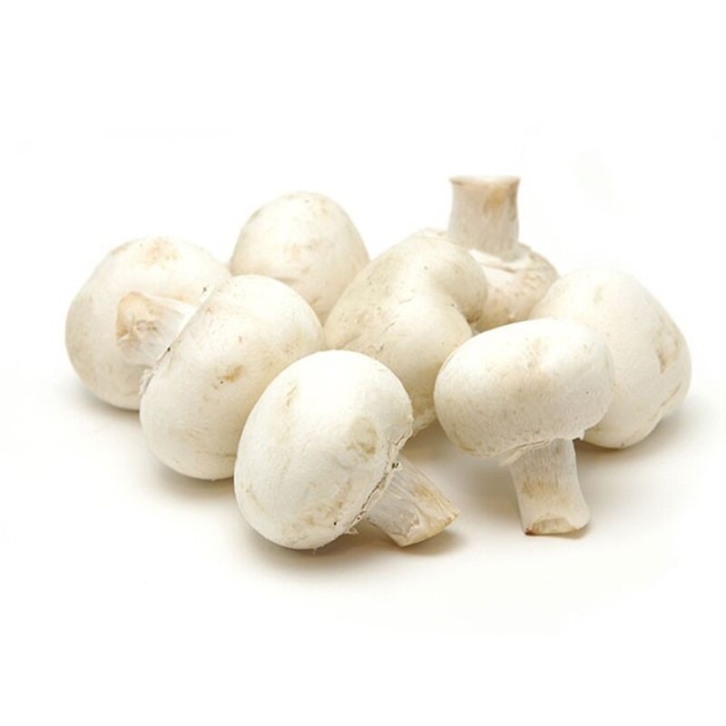 

Generic Mushroom UAE, 250 grams Packet