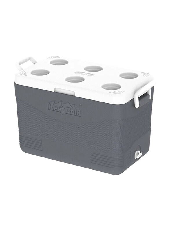 

Cosmoplast KeepCold Picnic Icebox, 46 Liters, Light Grey