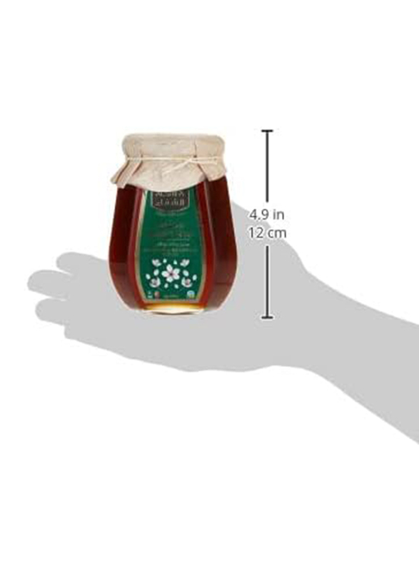 Al Shifa Patagonia Organic Honey, 500g