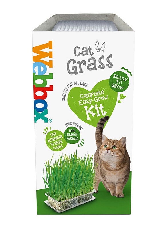 

Pets Choice Cat Grass Cat Treat, 120g, Green