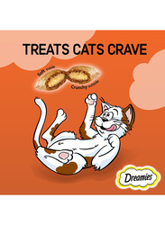 Dreamies with Tasty Chicken Flavor Dry Cat Food, 60 grams