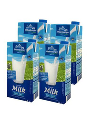 Oldenburger UHT Full Cream Milk, 4 x 1 Liter