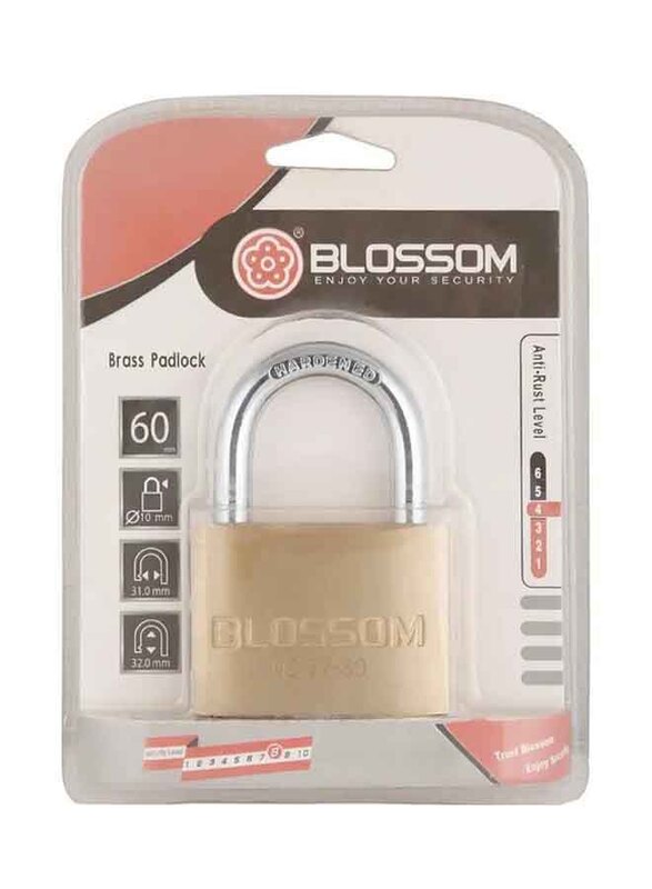 

Blossom Brass Padlock, 60mm, Multicolour