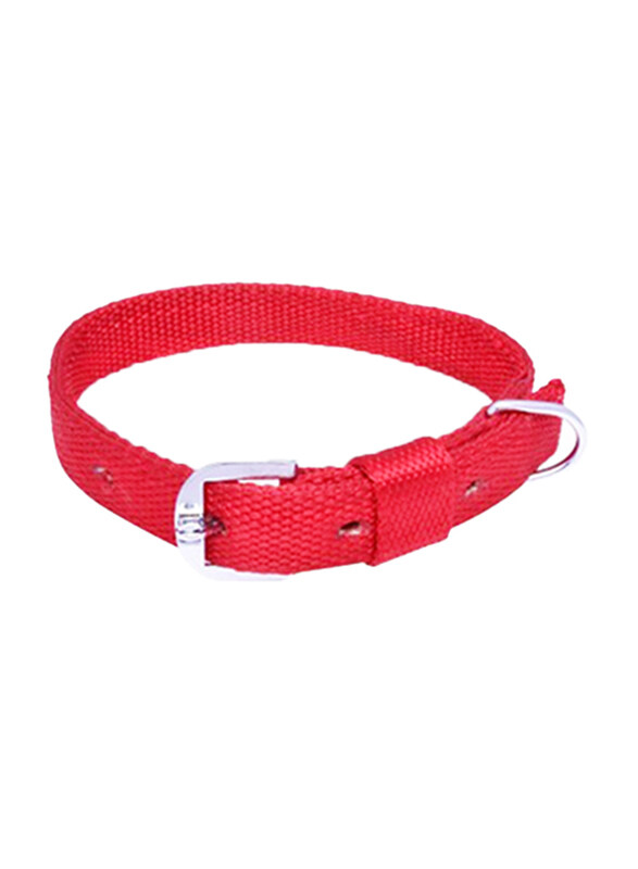 

Sleeky Dog Collar, 20 inch, Red