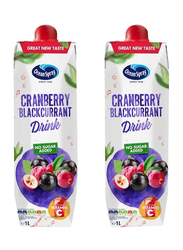 Ocean Spray Cranberry Blkcurrant Juicedual, 2 x 1 Liter