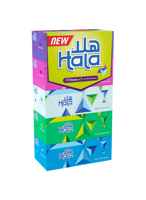 

Sanita Facial Tissue, 6 x 170 Ply