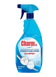 Charmm Window & Glass Cleaner, 750ml