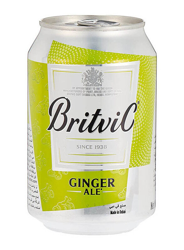 

Britvic Ginger Ale Beverage - 300ml