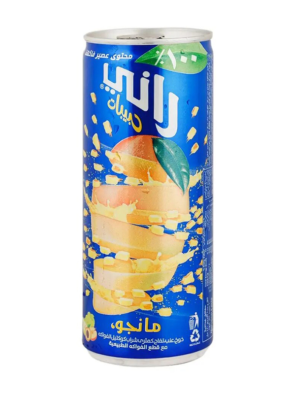 Rani Mango Fruit Drink - 240ml