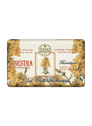 Nesti Dante Dei Colli Fiorentini Broom Soap, 250g