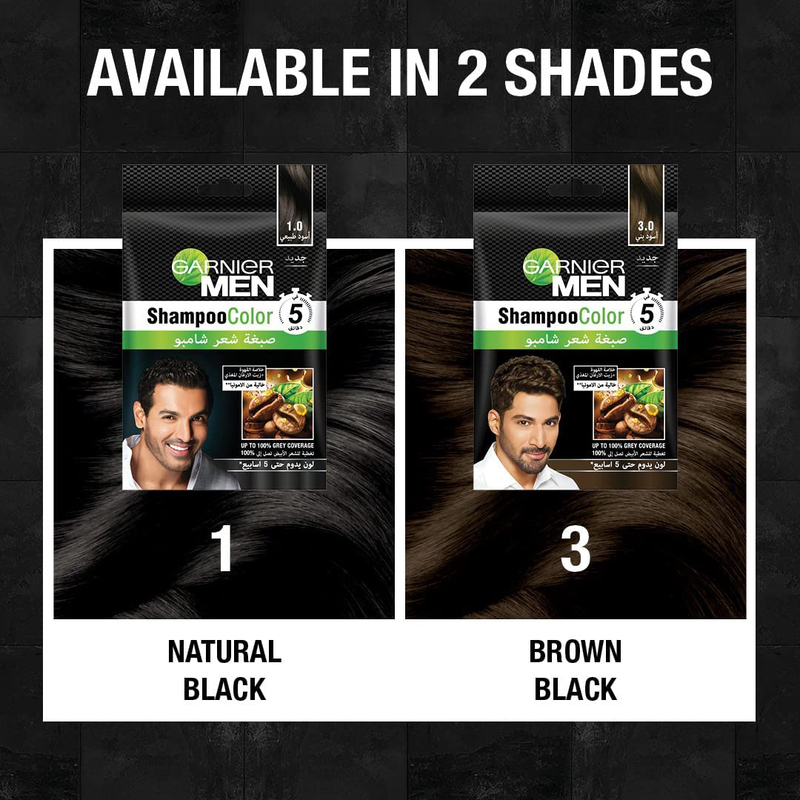 Garnier Men Shampoo Hair Color, 1.0 Natural Black, Black