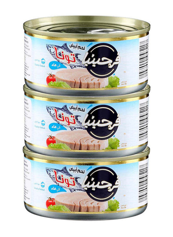 

Virginia Tuna White Meat Solid in Water, 3 x 170g