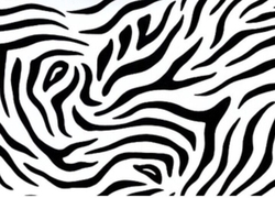 D-C-Fix Zebra Printed Design Sticky Back Plastic Self Adhesive, 2m x 45cm, White/Black