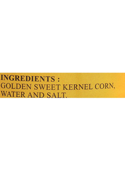 TepTip Golden Sweet Whole Kernel Corn, 425g