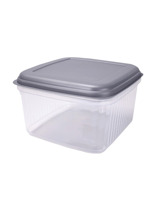 Codil Food Storage Box with Cover, 9 Liters, Grey/Clear