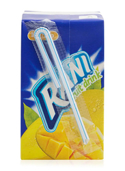 Rani Mango Fruit Drink - 9 x 250ml