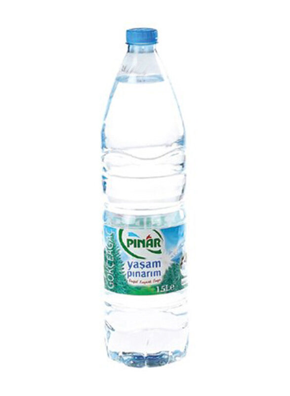 

Pinar Natural Mineral Water Pet Bottle, 1 Liter
